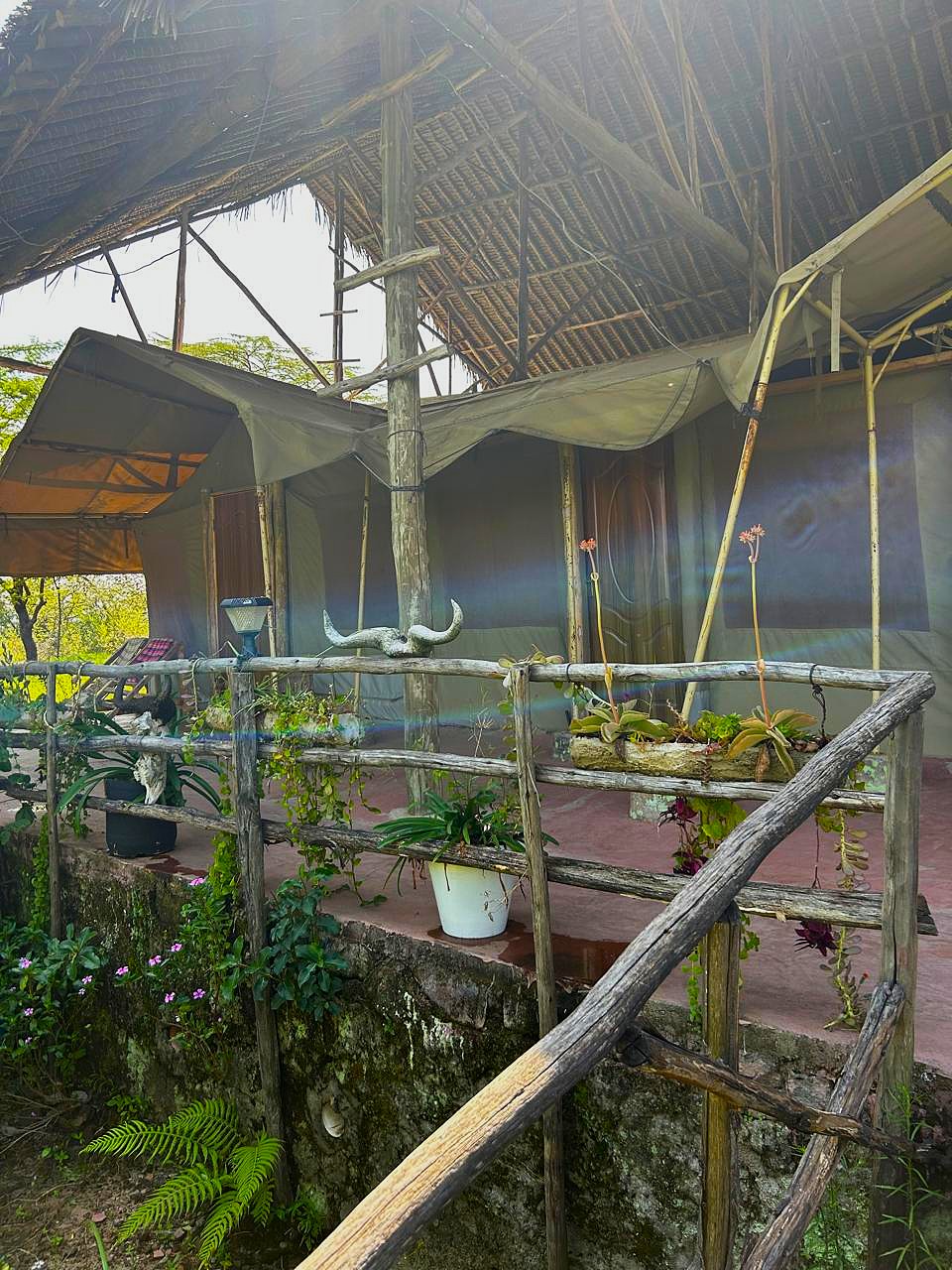 Front Tent